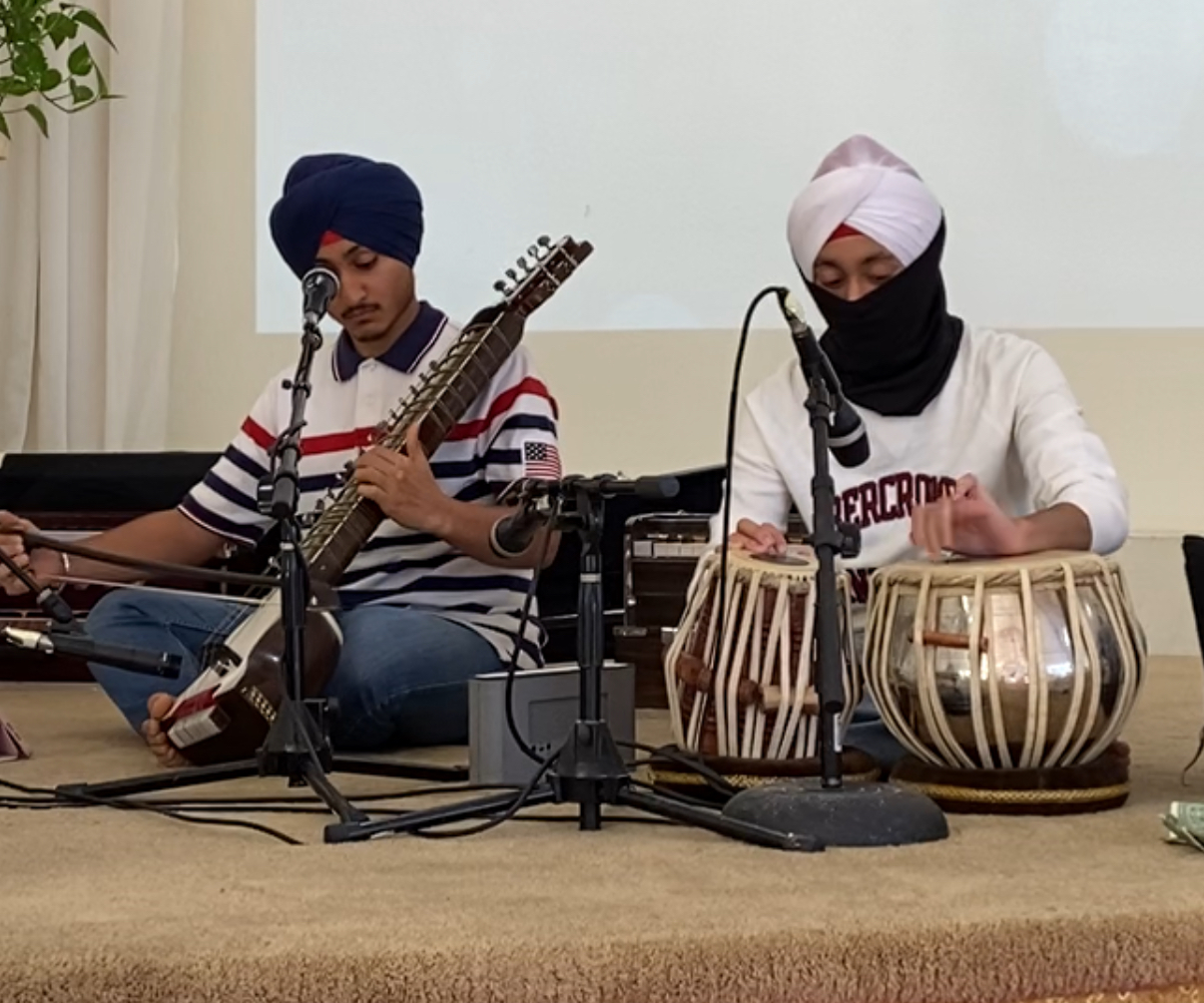 Sikh and Indian Traditional Instruments Hobby
